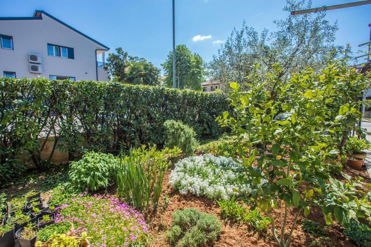 Apartman Porec Accommodation *